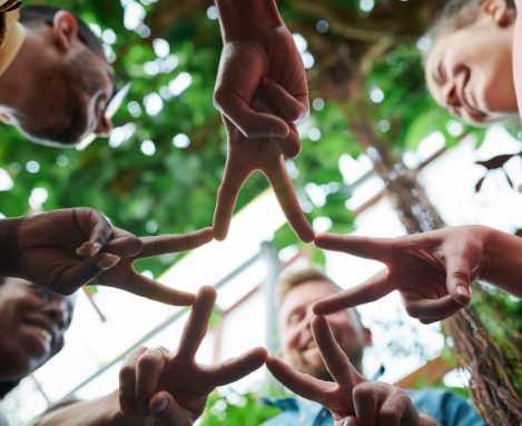 Qu’est-ce qu’une organisation Opale